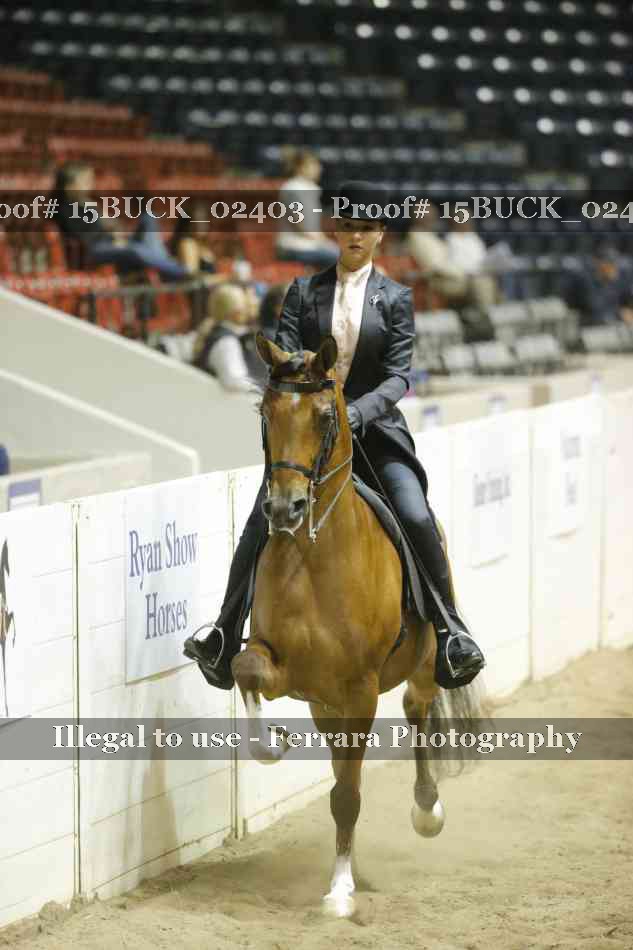 Proof Number 15BUCK_02403