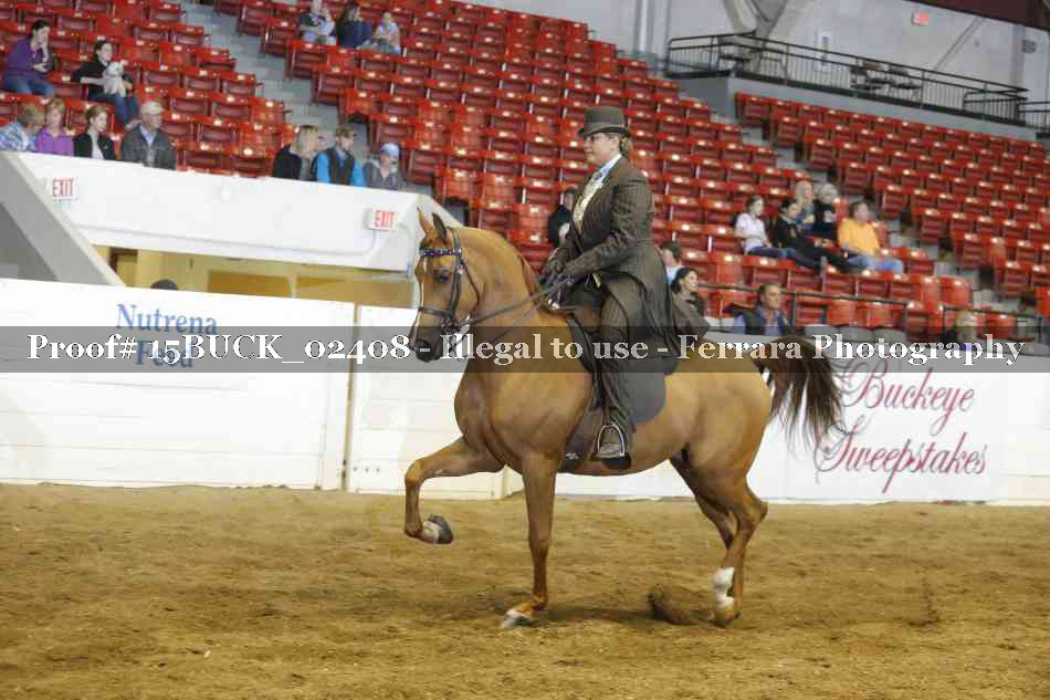 Proof Number 15BUCK_02408