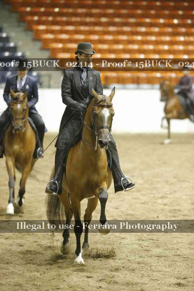 Proof Number 15BUCK_02414
