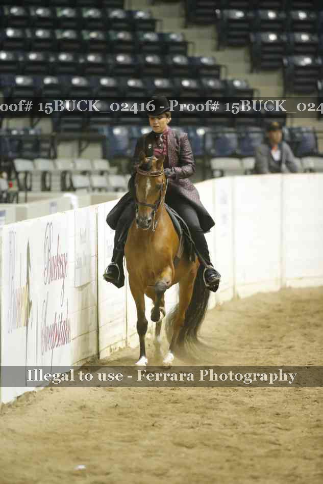 Proof Number 15BUCK_02416