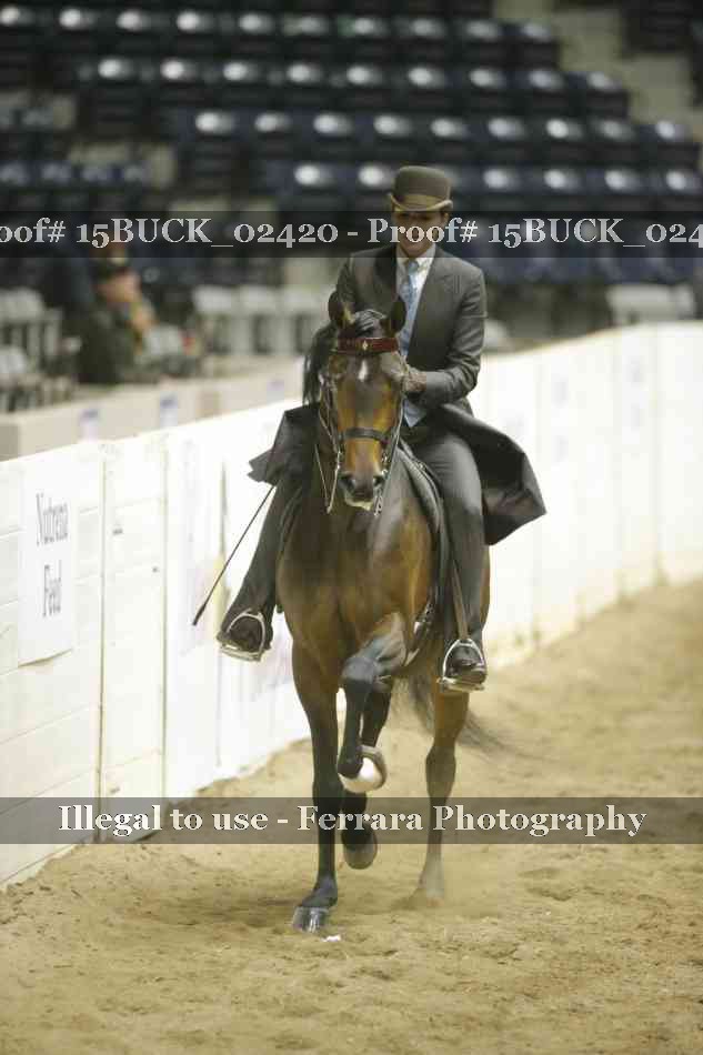 Proof Number 15BUCK_02420