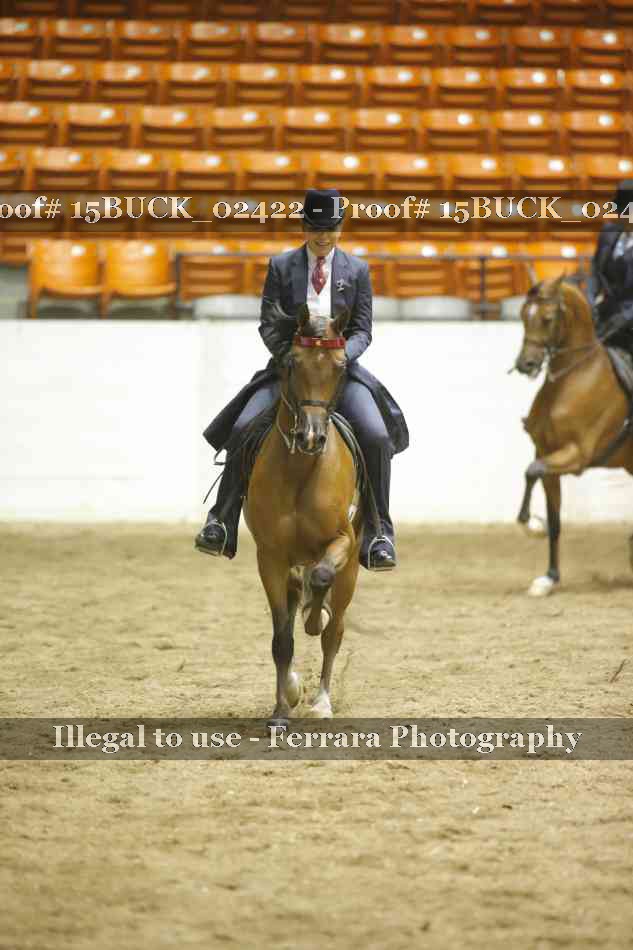 Proof Number 15BUCK_02422