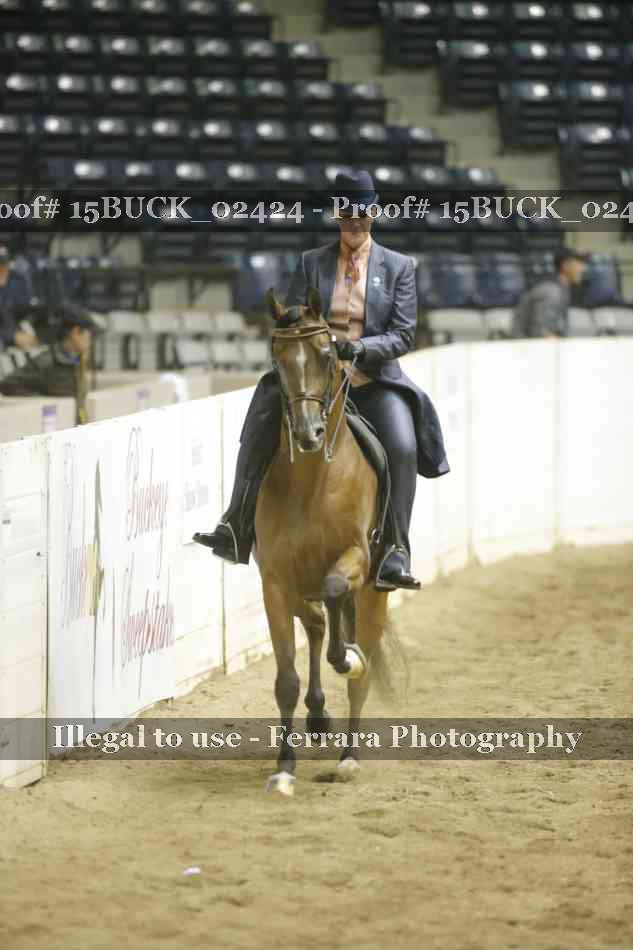 Proof Number 15BUCK_02424