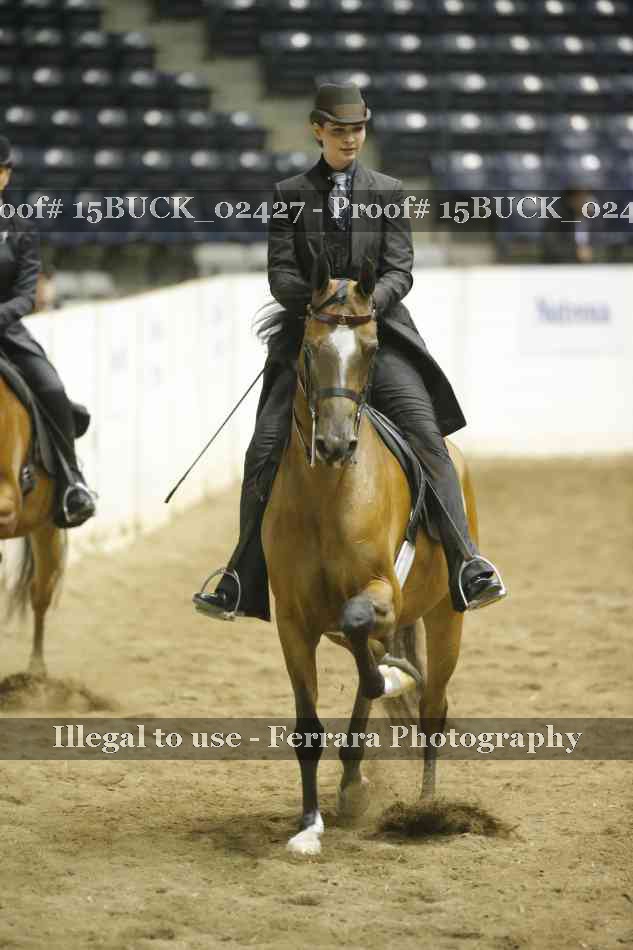 Proof Number 15BUCK_02427