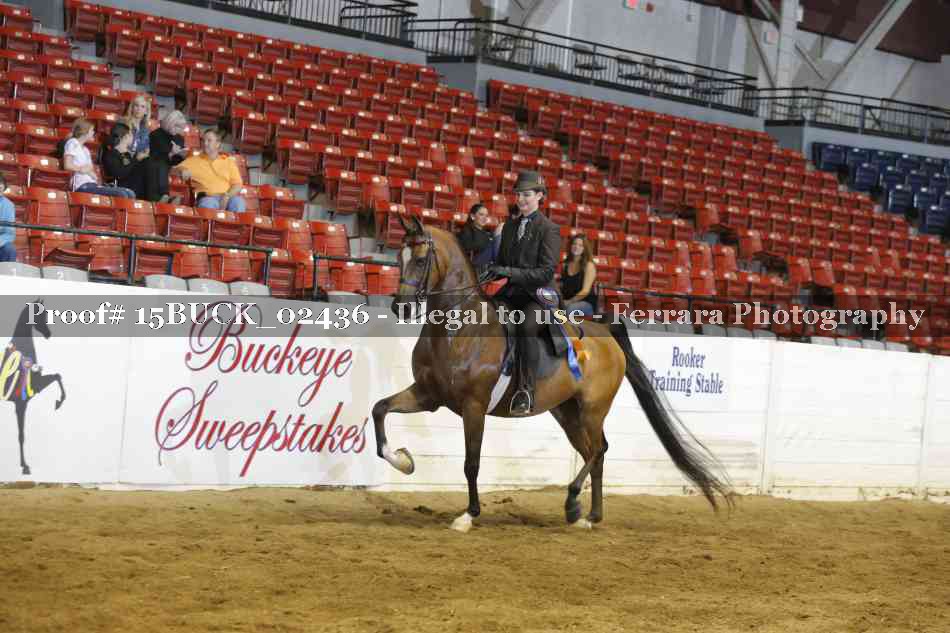 Proof Number 15BUCK_02436
