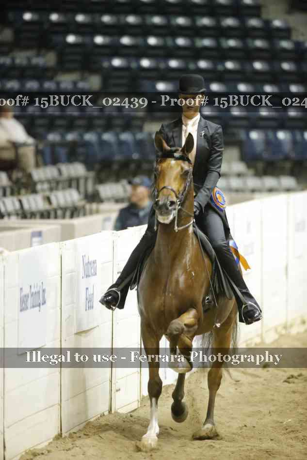 Proof Number 15BUCK_02439