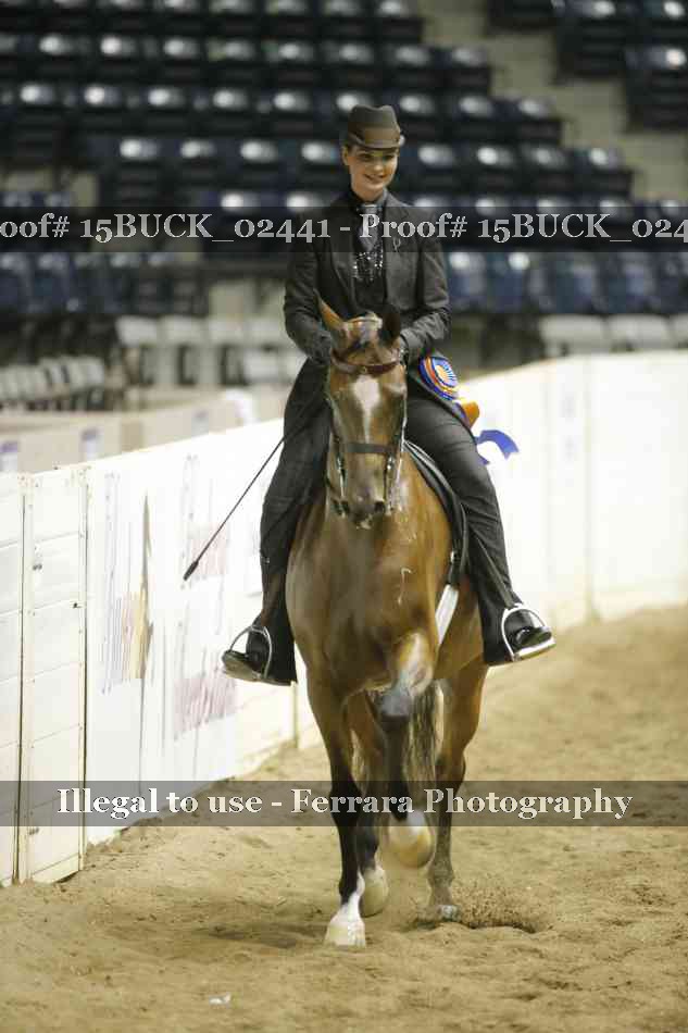Proof Number 15BUCK_02441