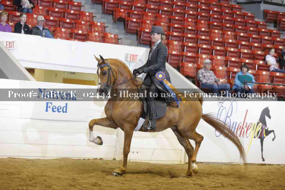 Proof Number 15BUCK_02444