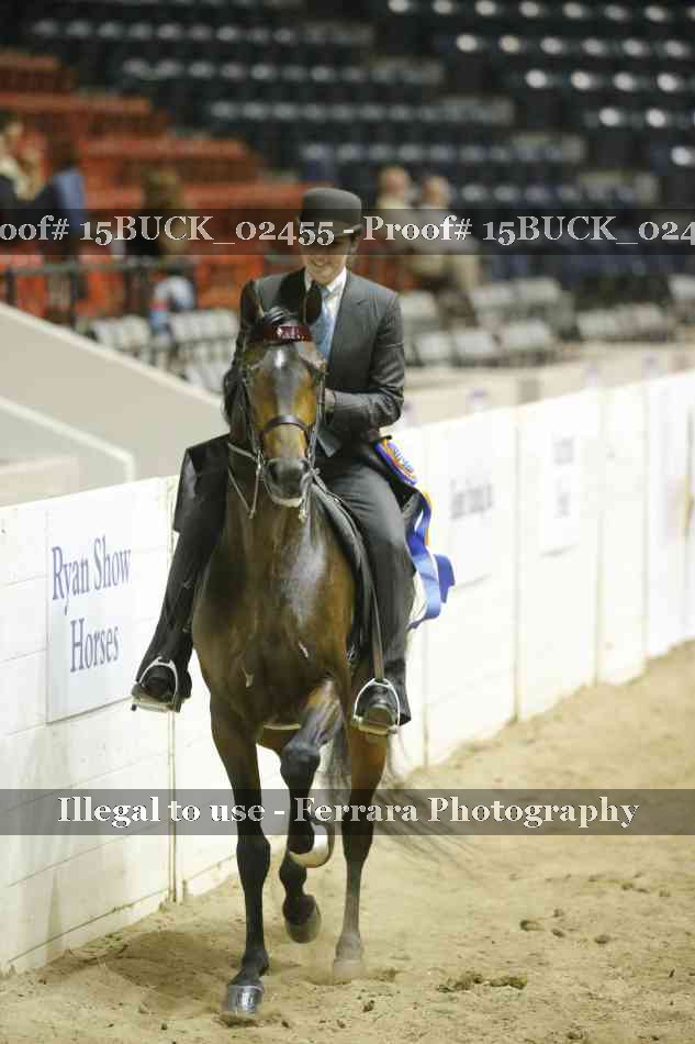 Proof Number 15BUCK_02455