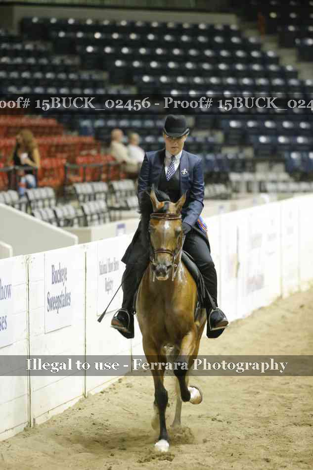 Proof Number 15BUCK_02456