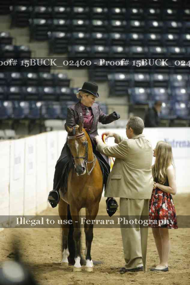 Proof Number 15BUCK_02460