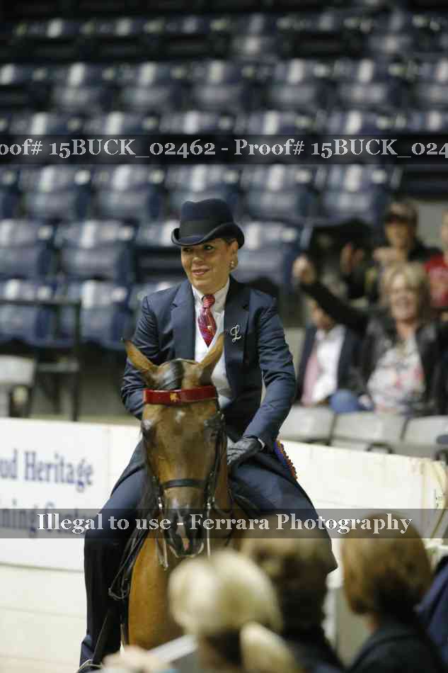 Proof Number 15BUCK_02462