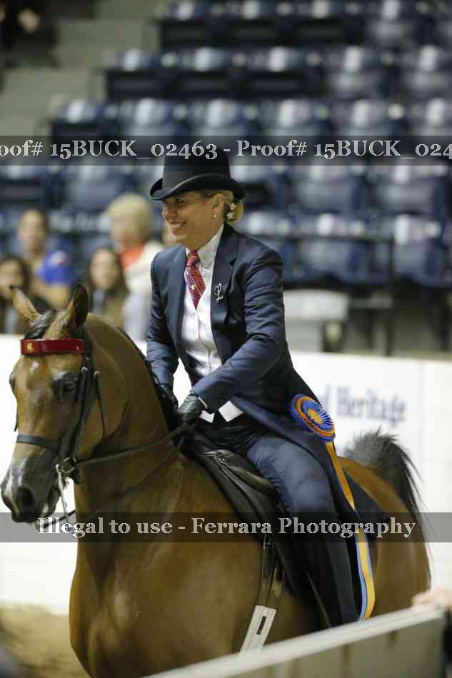 Proof Number 15BUCK_02463