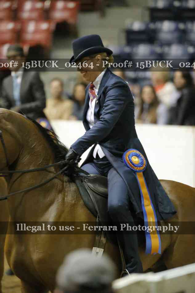 Proof Number 15BUCK_02464