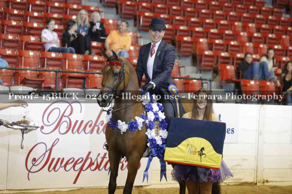 Proof Number 15BUCK_02467
