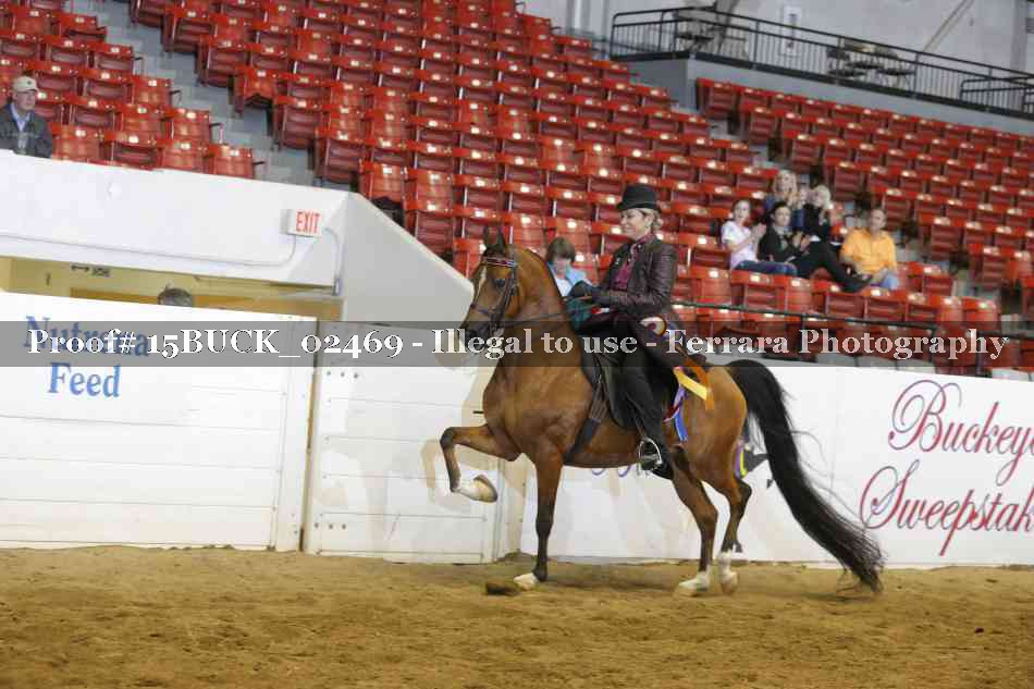 Proof Number 15BUCK_02469