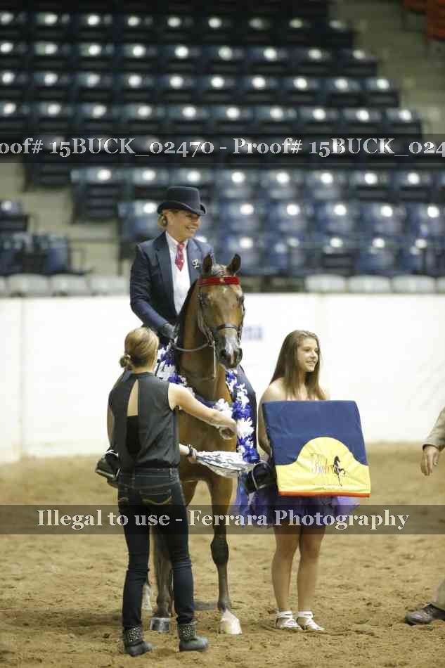 Proof Number 15BUCK_02470