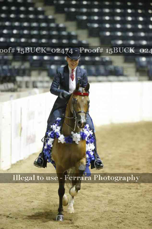 Proof Number 15BUCK_02474