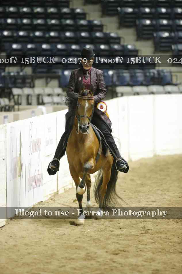 Proof Number 15BUCK_02479