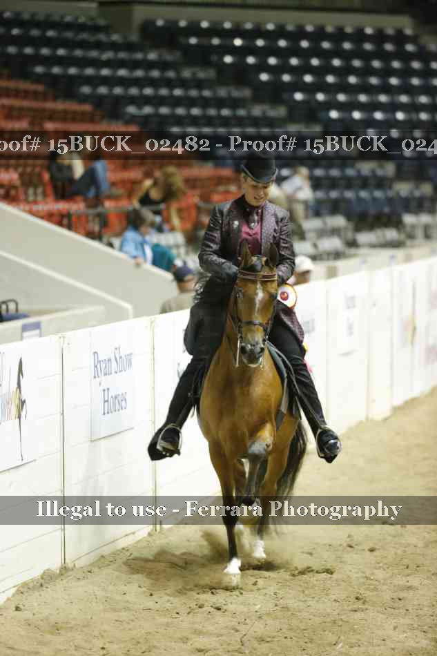 Proof Number 15BUCK_02482