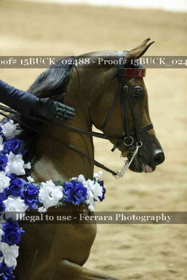 Proof Number 15BUCK_02488