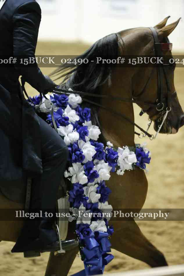 Proof Number 15BUCK_02490