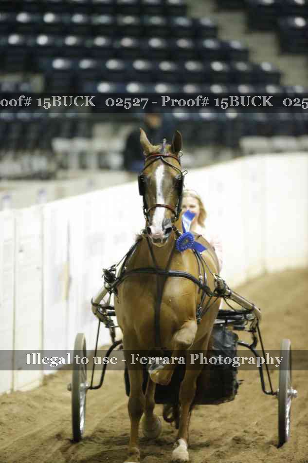 Proof Number 15BUCK_02527