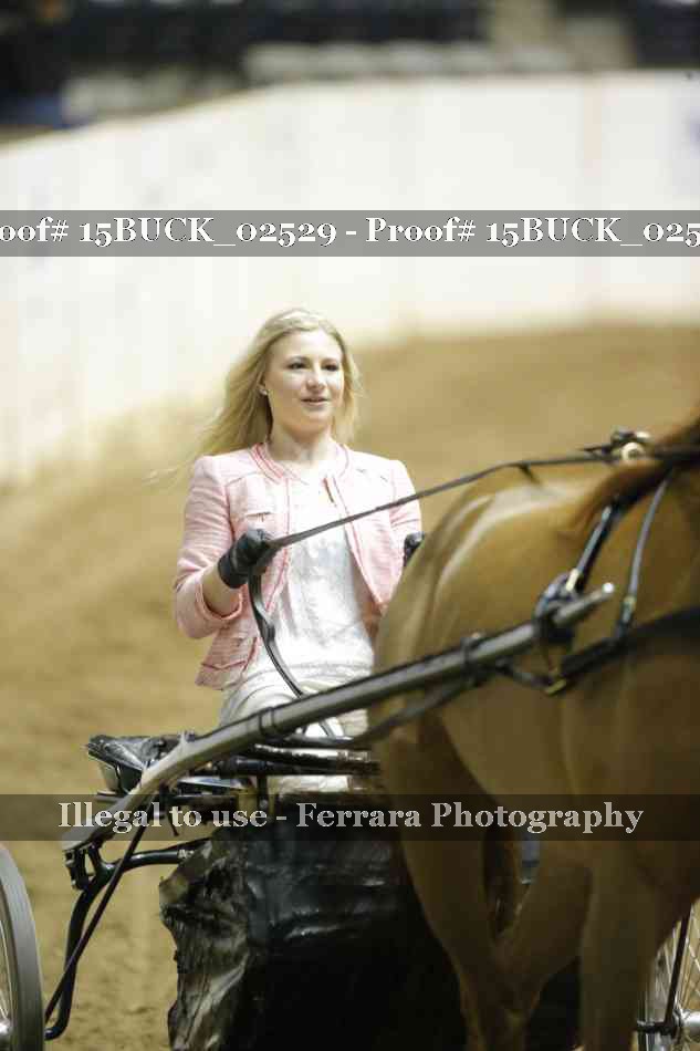 Proof Number 15BUCK_02529