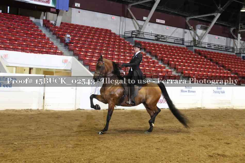 Proof Number 15BUCK_02543