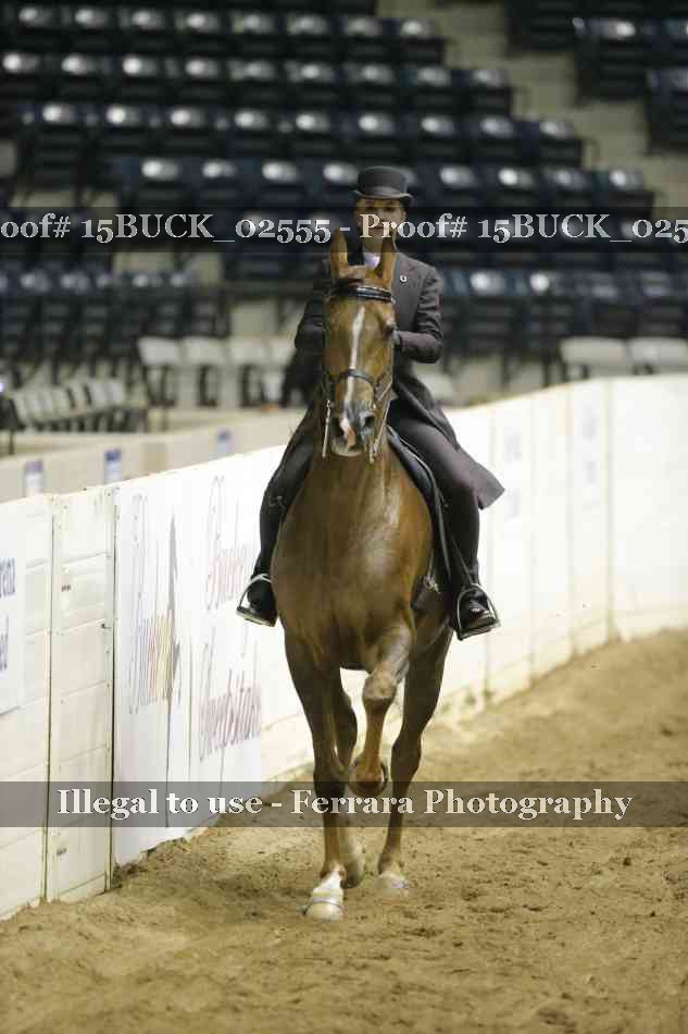 Proof Number 15BUCK_02555