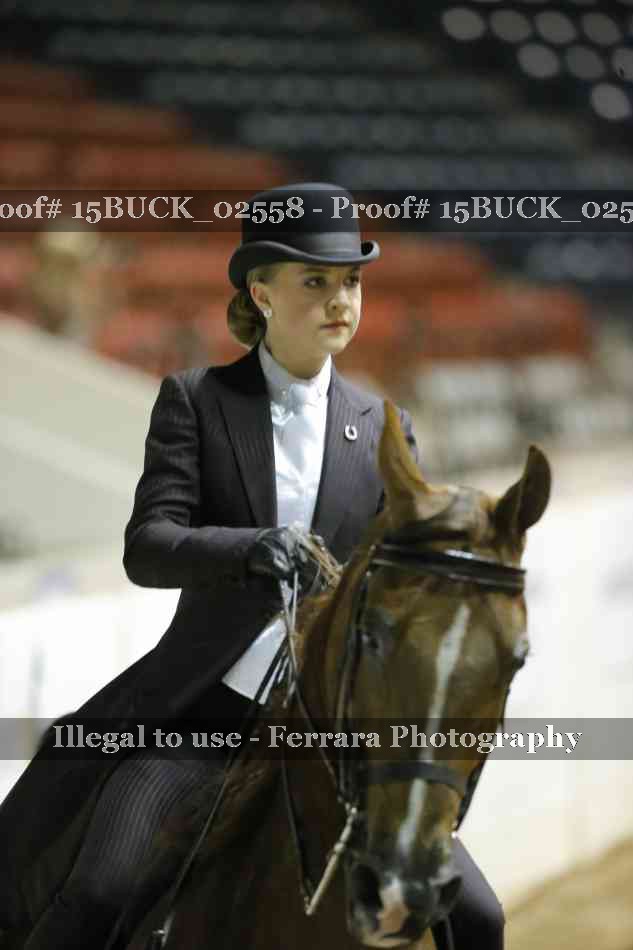 Proof Number 15BUCK_02558