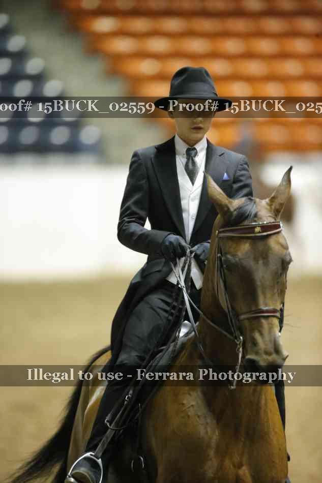 Proof Number 15BUCK_02559