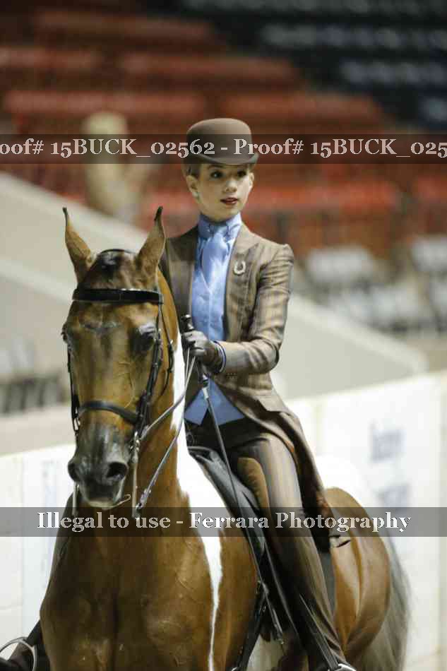 Proof Number 15BUCK_02562