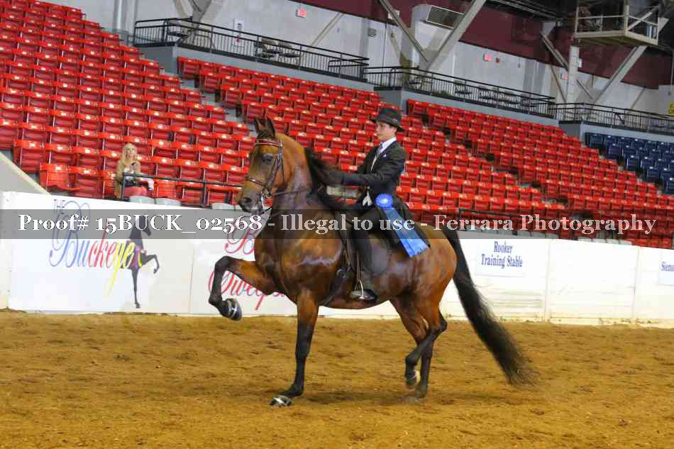 Proof Number 15BUCK_02568
