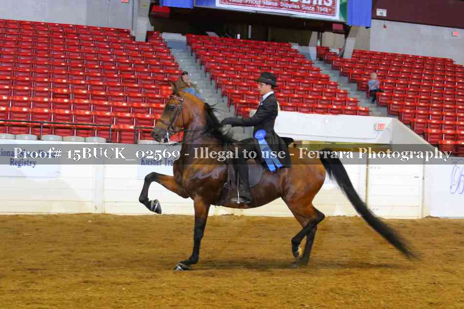 Proof Number 15BUCK_02569