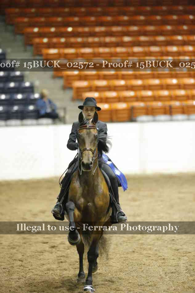 Proof Number 15BUCK_02572