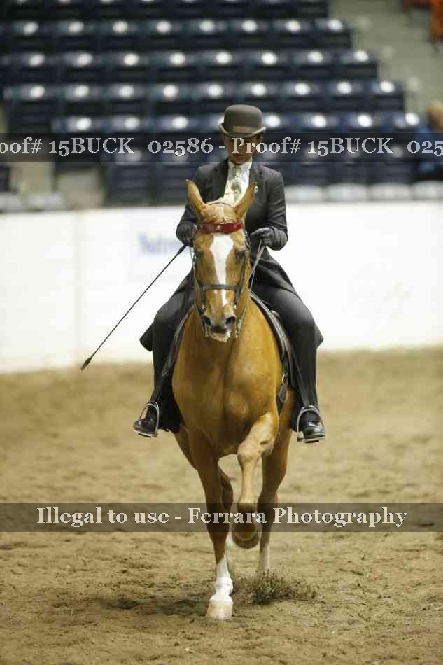 Proof Number 15BUCK_02586