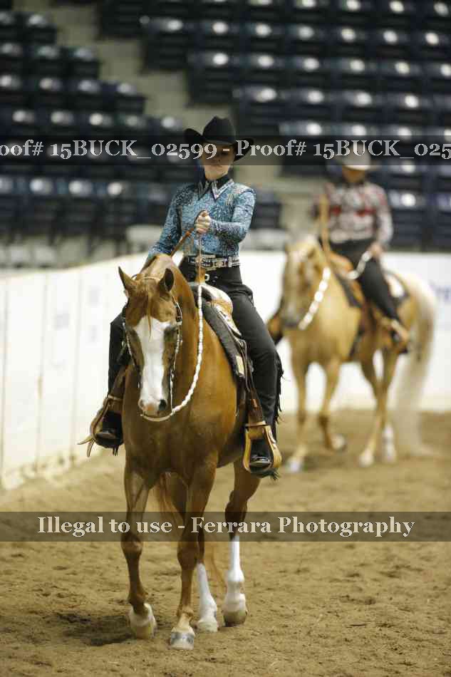Proof Number 15BUCK_02599