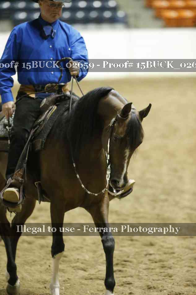 Proof Number 15BUCK_02659
