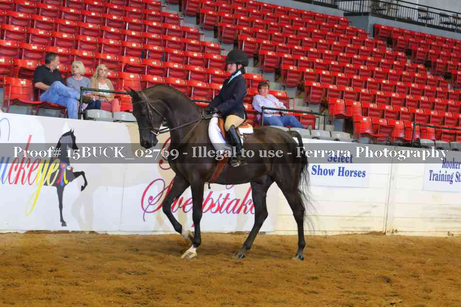 Proof Number 15BUCK_02769