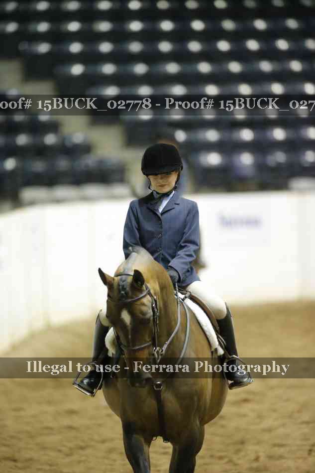 Proof Number 15BUCK_02778