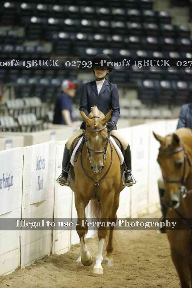 Proof Number 15BUCK_02793