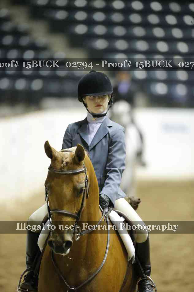 Proof Number 15BUCK_02794