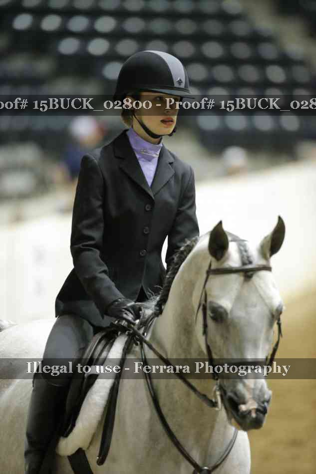 Proof Number 15BUCK_02800