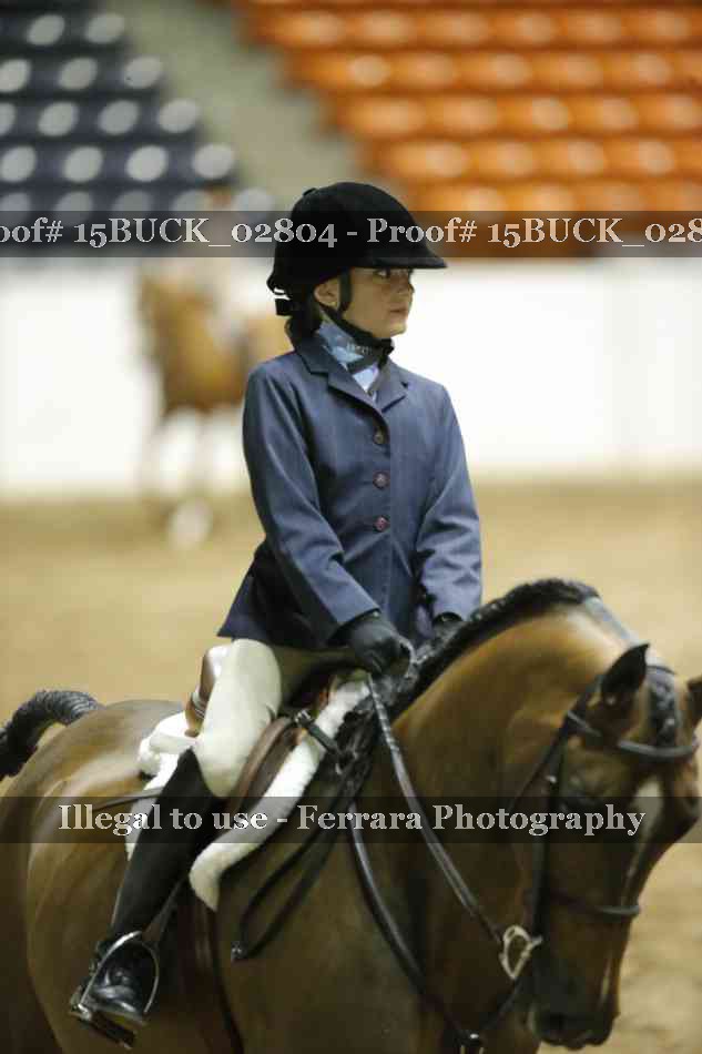 Proof Number 15BUCK_02804