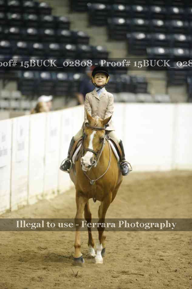 Proof Number 15BUCK_02808