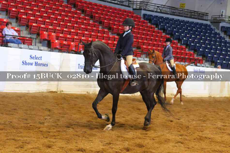 Proof Number 15BUCK_02810