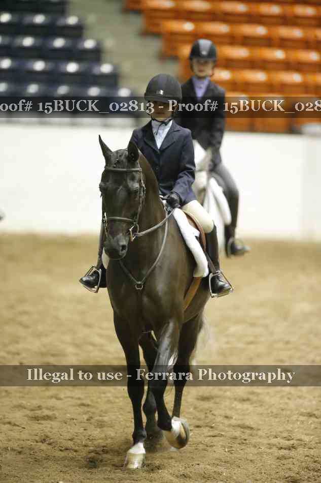 Proof Number 15BUCK_02813