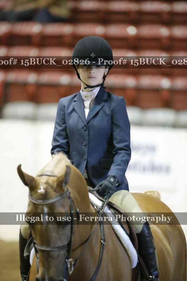 Proof Number 15BUCK_02826