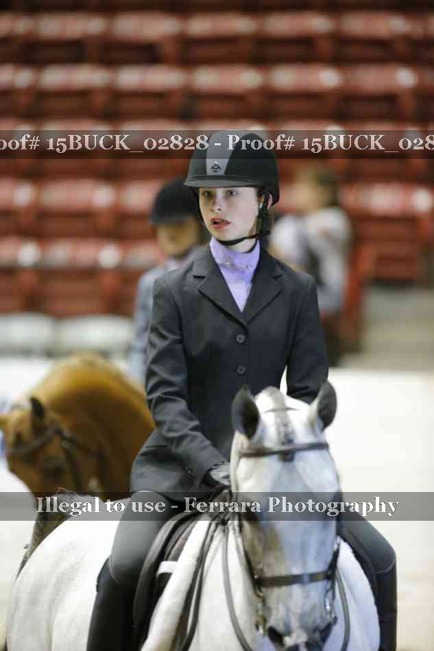 Proof Number 15BUCK_02828